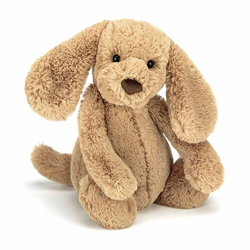 Jellycat Bashful Toffee Puppy - Original (Med)